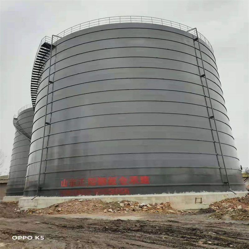 松山湖管委会3万吨大型钢板库