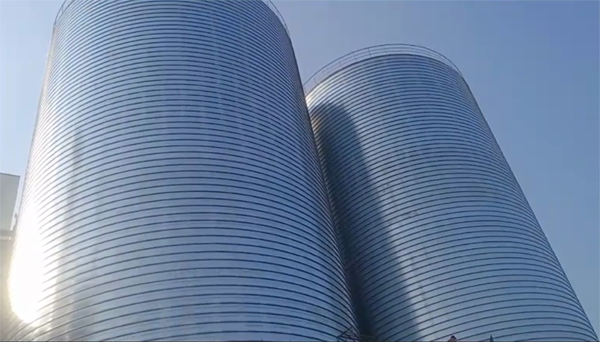 松山湖管委会2座混凝土高架卷板仓